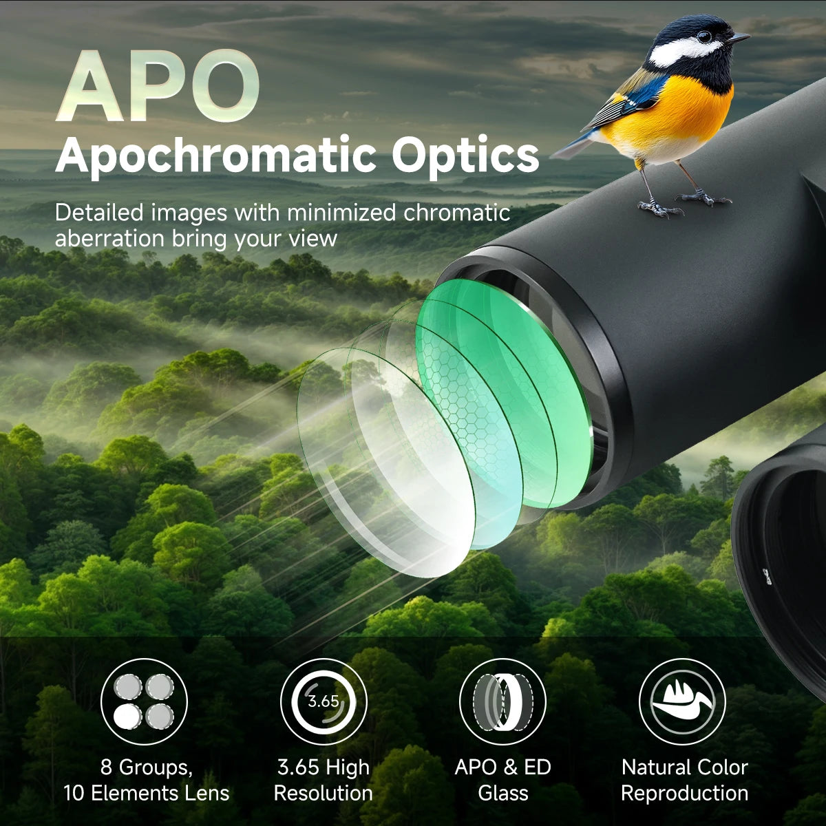 Svbony SA207PRO 8x42 ED APO Binoculars Flat Field Ultra Wide-angle Magnesium Alloy Body BaK4 FBMC IPX7 for Bird Watching Camping