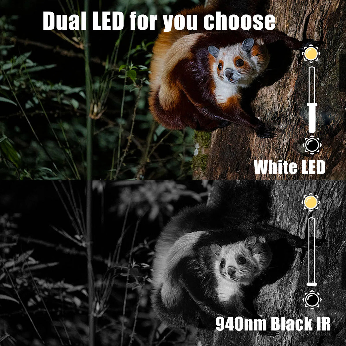 BolyGuard Trail Camera 37MP 4K HD Hunting Game Wildlife Cam 940nm Invisible IR or White LED Night Vision Optional Solar(BG410-D)