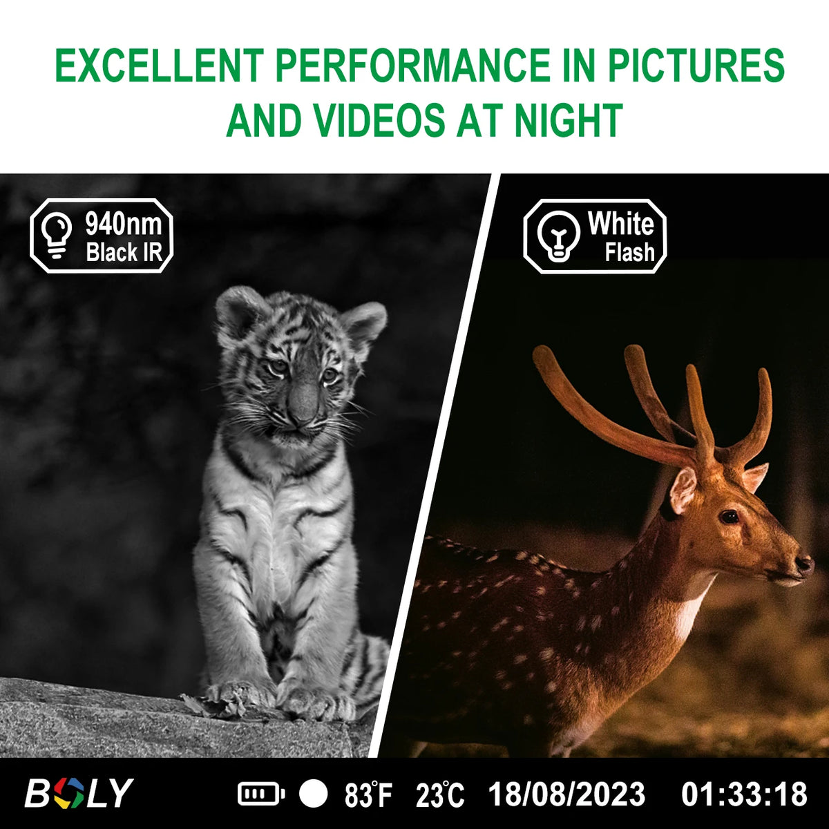 BolyGuard BG662-HQ Trail Camera 940nm Night Vision Invisible 4K Video 56MP Wildlife Hunting Game Camera Portable IP68 Waterproof