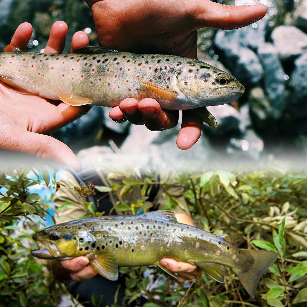 Fly Fishing Flies Kit Fly Assortment Trout Bass Fishing with Fly Box,24/30/40/54/84/102/114pcs with Dry/Wet Flies, Nymphs, Strea